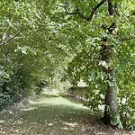 Villa Cosy Dans Le Perche Sainte-Ceronne-les-Mortagne