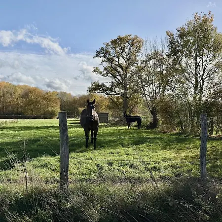 Cosy Dans Le Perche