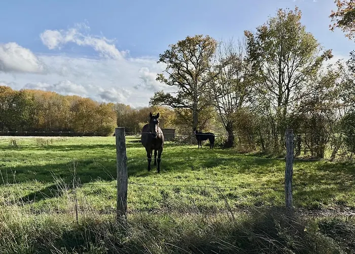Cosy Dans Le Perche